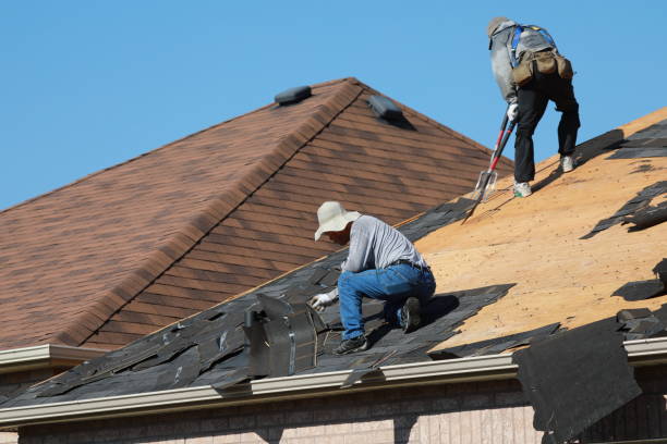 Best Metal Roofing Installation  in West Buechel, KY